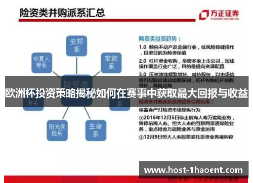 欧洲杯投资策略揭秘如何在赛事中获取最大回报与收益