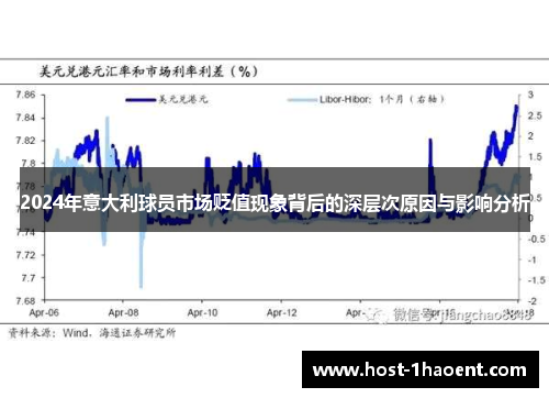 2024年意大利球员市场贬值现象背后的深层次原因与影响分析