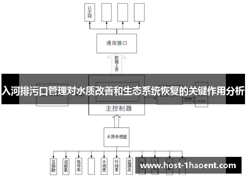 入河排污口管理对水质改善和生态系统恢复的关键作用分析