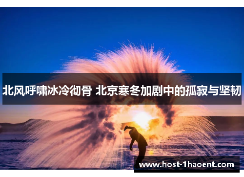 北风呼啸冰冷彻骨 北京寒冬加剧中的孤寂与坚韧