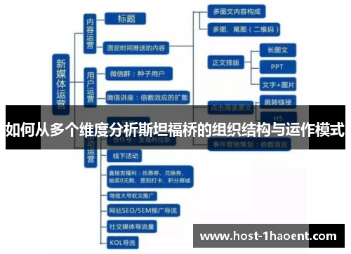 如何从多个维度分析斯坦福桥的组织结构与运作模式