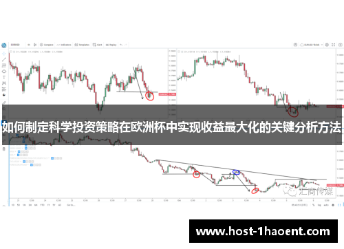 如何制定科学投资策略在欧洲杯中实现收益最大化的关键分析方法