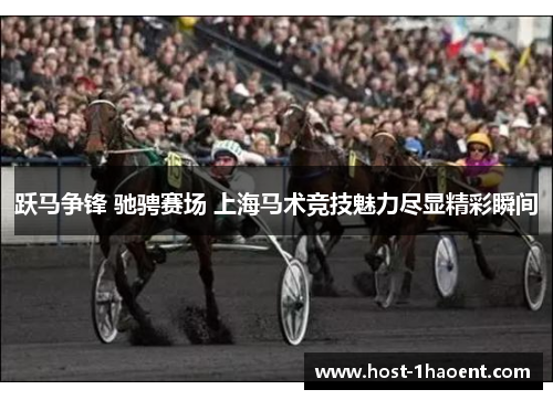 跃马争锋 驰骋赛场 上海马术竞技魅力尽显精彩瞬间 跃马争锋 驰骋赛场 上海马术竞技魅力尽显精彩瞬间