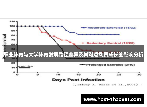 职业体育与大学体育发展路径差异及其对运动员成长的影响分析